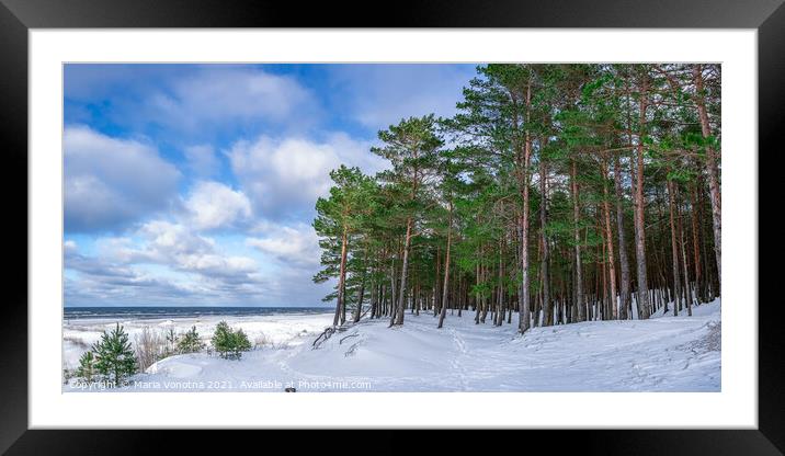 Snowy sea coast with pine forest in winter Framed Mounted Print by Maria Vonotna