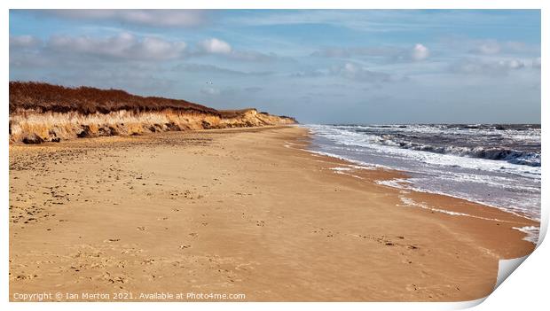 Land And Sea Print by Ian Merton