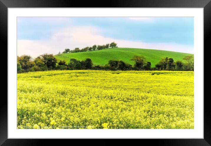 Gold and Green Landscape Framed Mounted Print by Ian Lewis