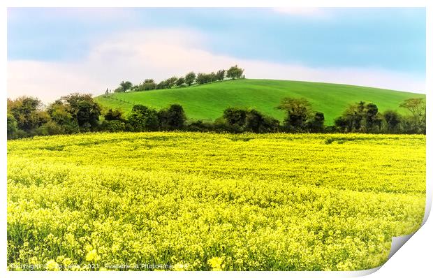 Gold and Green Landscape Print by Ian Lewis