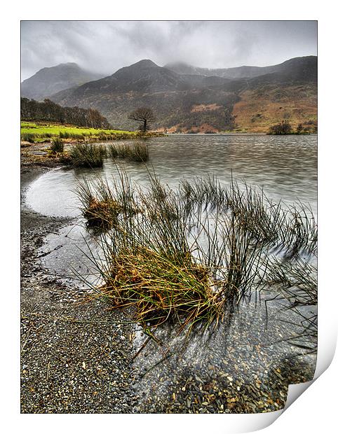Wet Day in the Lakes Print by Richard Peck