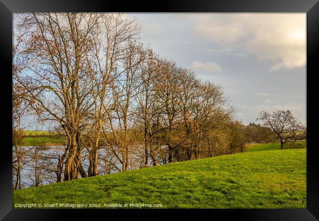 Row of willow and alder trees at the edge of a green field beside a river Framed Print by SnapT Photography