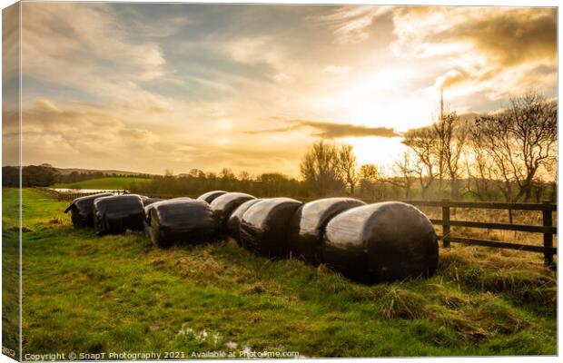 Silage bales beside a wooden fence in a green field, at sunset Canvas Print by SnapT Photography