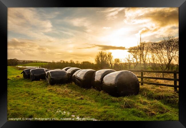 Silage bales beside a wooden fence in a green field, at sunset Framed Print by SnapT Photography