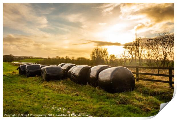 Silage bales beside a wooden fence in a green field, at sunset Print by SnapT Photography
