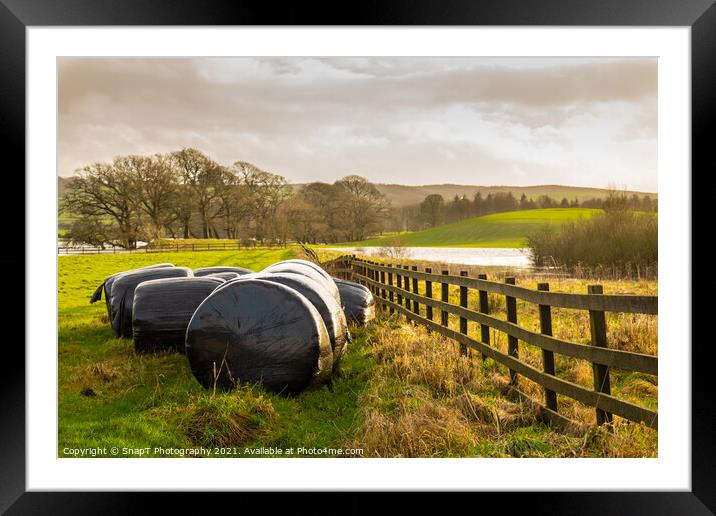 Silage bales beside a wooden fence in a green field, at sunset Framed Mounted Print by SnapT Photography