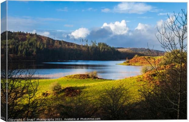 A view over Woodhall loch, on a sunny winters day, near Mossdale , Scotland Canvas Print by SnapT Photography