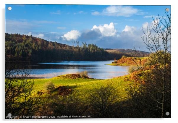 A view over Woodhall loch, on a sunny winters day, near Mossdale , Scotland Acrylic by SnapT Photography