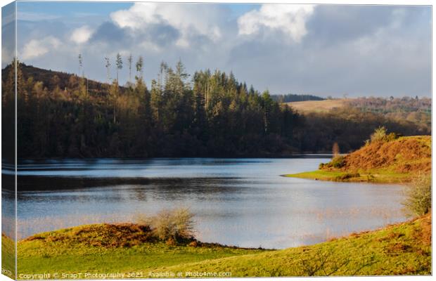 A view over Woodhall loch, on a sunny winters day, near Mossdale , Scotland Canvas Print by SnapT Photography