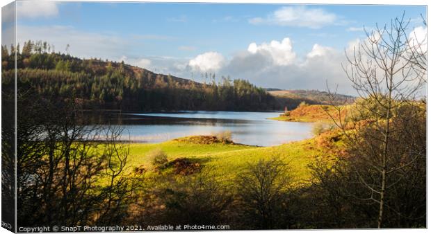 A view over Woodhall loch, on a sunny winters day, near Mossdale , Scotland Canvas Print by SnapT Photography