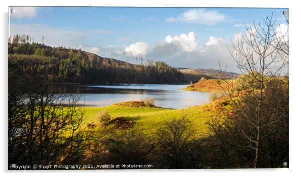 A view over Woodhall loch, on a sunny winters day, near Mossdale , Scotland Acrylic by SnapT Photography