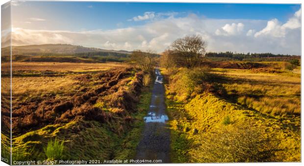 The remains of the old Galloway Railway train line or paddy line at Mossdale Canvas Print by SnapT Photography