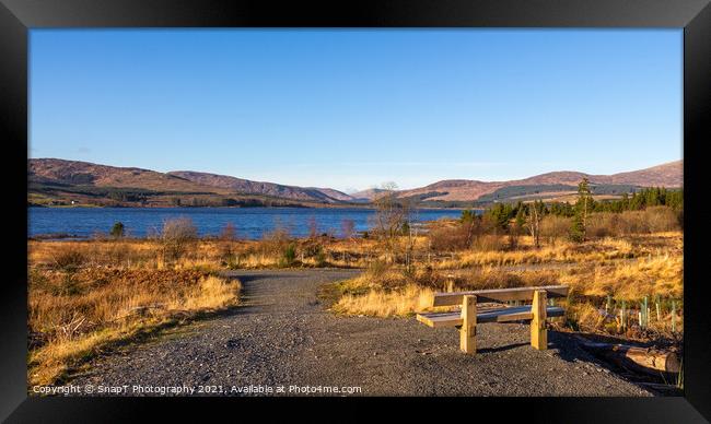 A wooden bench overlooking Clatteringshaws Loch on a sunny winters day Framed Print by SnapT Photography