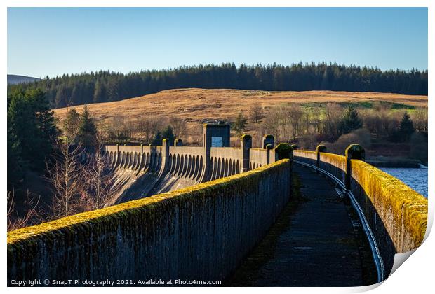 Walk way at the top Clatteringshaws Dam, on the Galloway Hydro Electric Scheme Print by SnapT Photography
