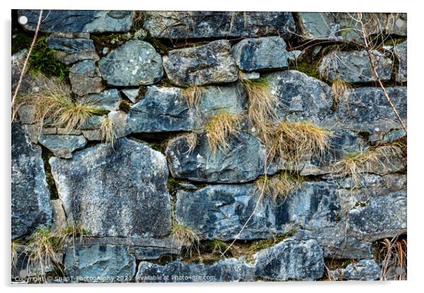 Abstract of an old Scottish drystone wall or dyke, with moss and grass growing Acrylic by SnapT Photography
