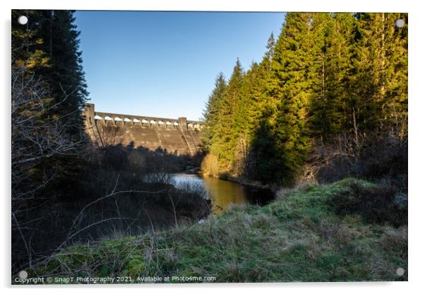 Clatteringshaws Dam and the Blackwater of Dee, Dumfries and Galloway, Scotland Acrylic by SnapT Photography