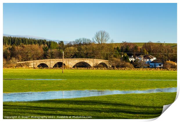 A flooded green field and the Ken Bridge at New Galloway, Scotland Print by SnapT Photography