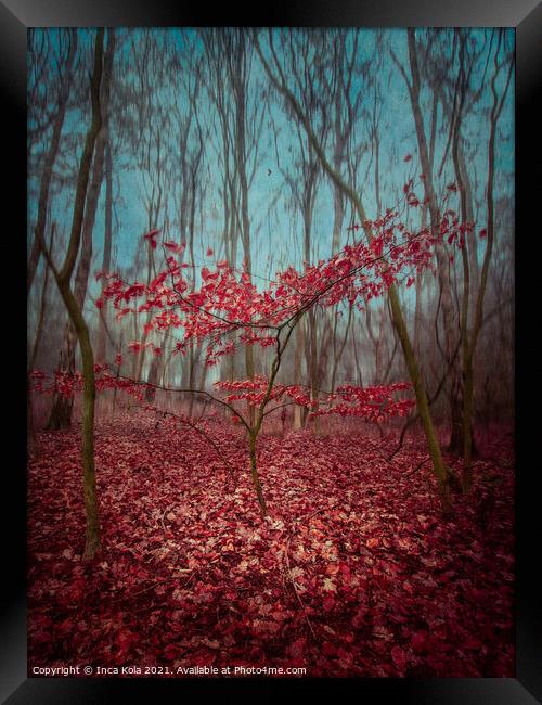 Red Leaves in the Woodland Framed Print by Inca Kala