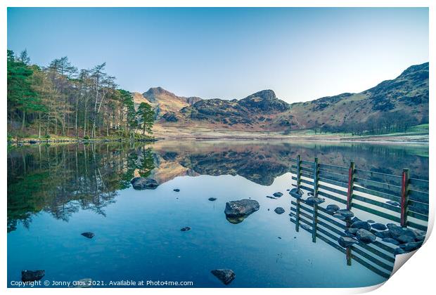 Trees of Blea Tarn  Print by Jonny Gios