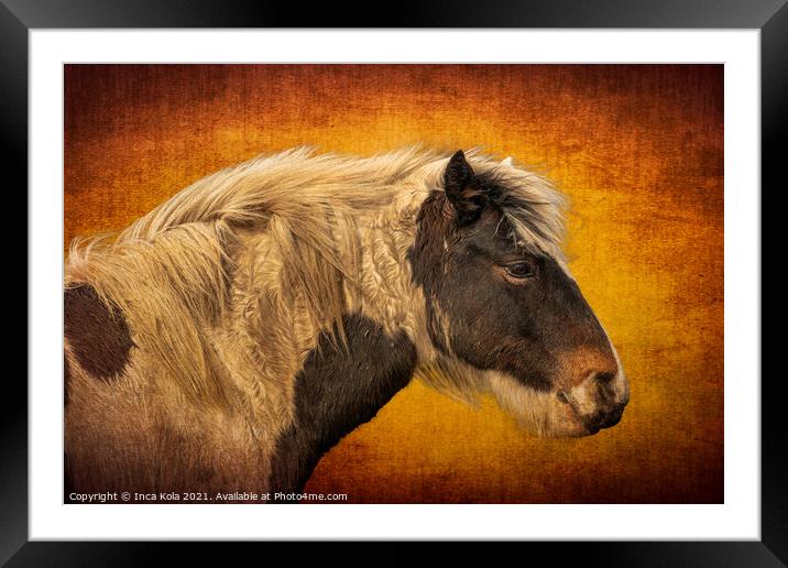 Harris A Horse in Profile  Framed Mounted Print by Inca Kala