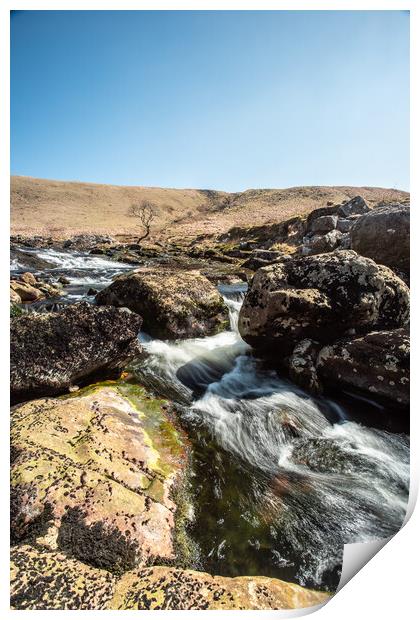 The River Tavy, Dartmoor Print by Images of Devon