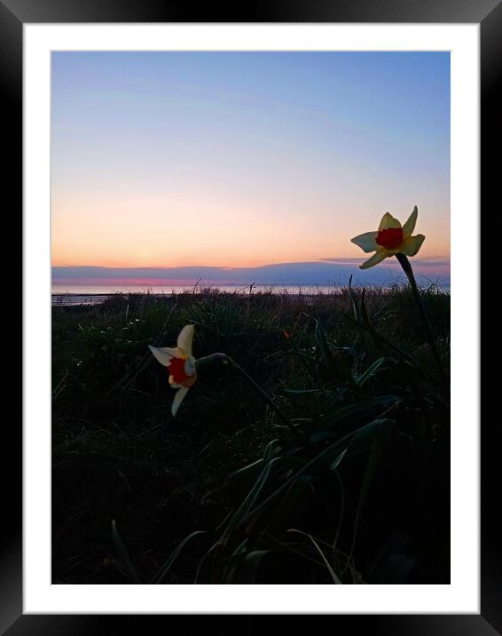 Narcissus at Sunset Framed Mounted Print by Mark Ritson