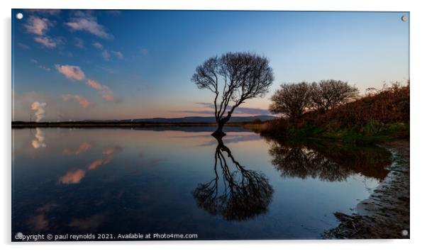 Kenfig Pool reflections  Acrylic by paul reynolds