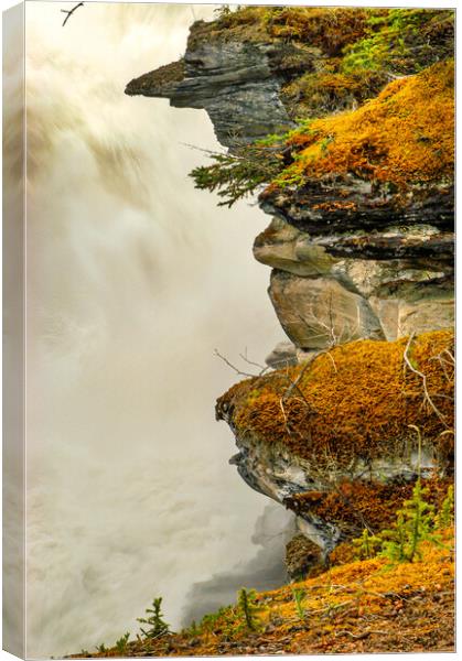 Mossy Waterfall, Canada Canvas Print by Mark Llewellyn