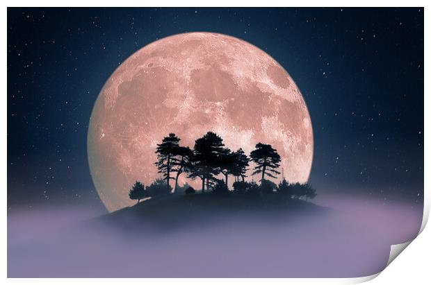 Colmer's Pink Supermoon Print by David Neighbour