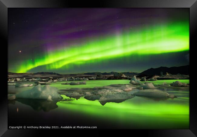 Purple crown Framed Print by Tony Prower