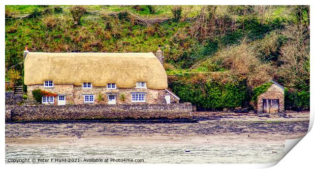 Thatched House On The Dart Print by Peter F Hunt