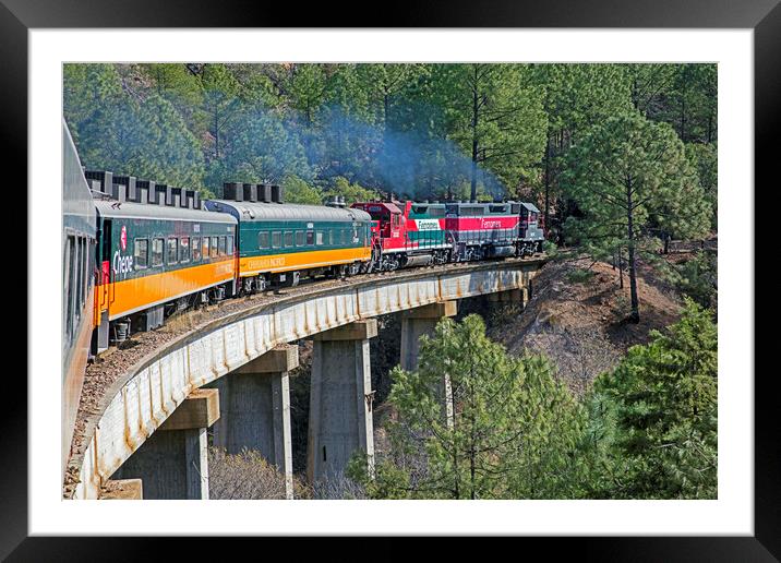 Chepe Express Train in Mexico Framed Mounted Print by Arterra 