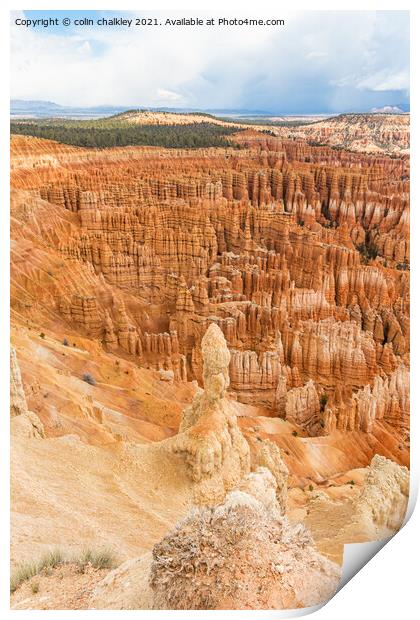  Bryce Canyon Hoodoos Print by colin chalkley
