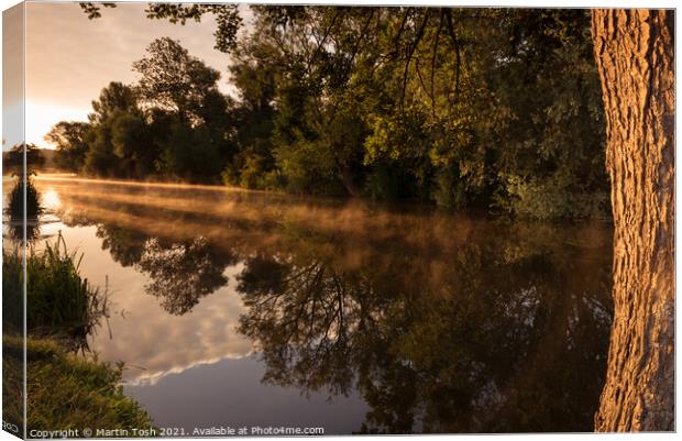 Mist and reflections - trees reflected in the river Canvas Print by Martin Tosh
