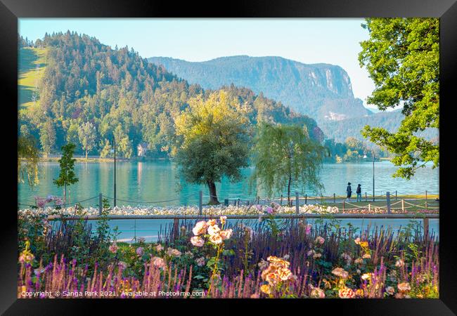 Lake Bled Framed Print by Sanga Park