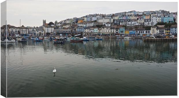 Brixham town overlooking water and harbour Canvas Print by mark humpage