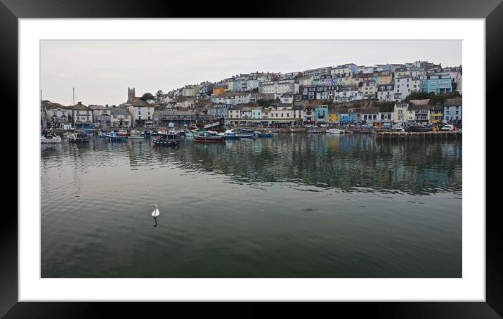 Brixham town overlooking water and harbour Framed Mounted Print by mark humpage
