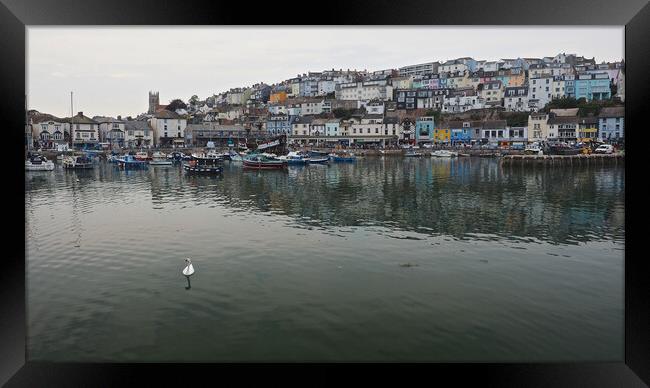 Brixham town overlooking water and harbour Framed Print by mark humpage