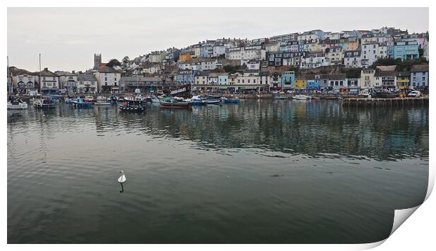Brixham town overlooking water and harbour Print by mark humpage