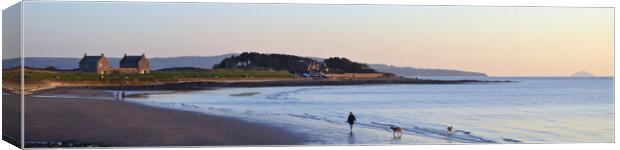 Prestwick beach Canvas Print by Allan Durward Photography