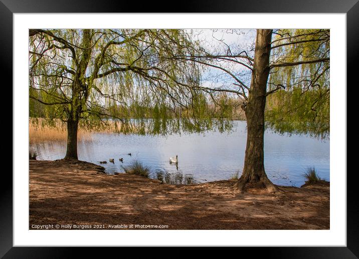 Nottingham Park  Framed Mounted Print by Holly Burgess