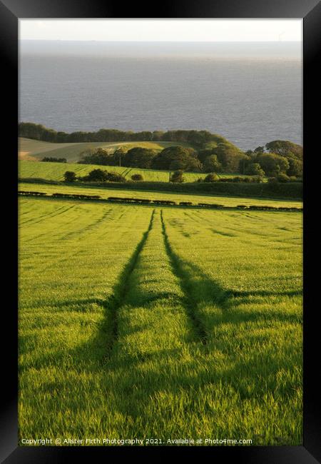 Leading lines Framed Print by Alister Firth Photography