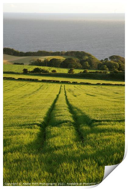 Leading lines Print by Alister Firth Photography