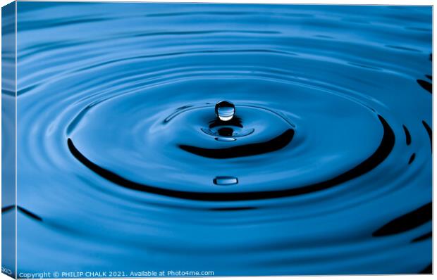 Blue water droplet 456  Canvas Print by PHILIP CHALK