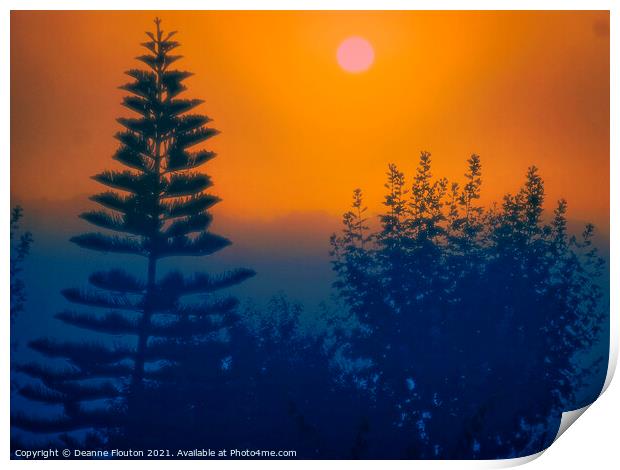 Norfolk Island Pine Tree Menorca Print by Deanne Flouton