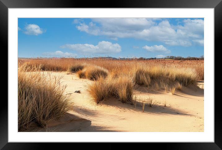 Covehithe Benacre broad suffolk Framed Mounted Print by Kevin Snelling