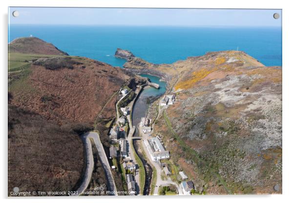 Aerial photograph of Boscastle, Cornwall, England. Acrylic by Tim Woolcock