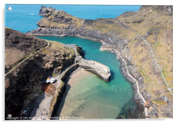 Aerial photograph of Boscastle, Cornwall, England. Acrylic by Tim Woolcock