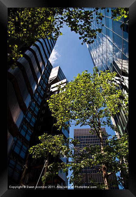 Skyscrapers and Trees Framed Print by Dawn O'Connor