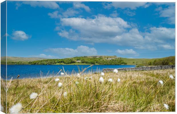 Majestic Malham Tarn Canvas Print by Kevin Snelling